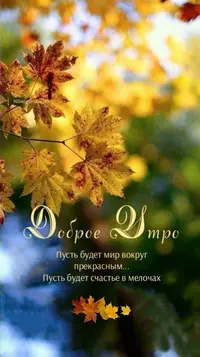 241_786.webp