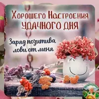 imgonline-com-ua-Resize-GmBofRWS8qco0L6E.webp
