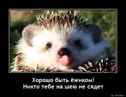 01608623900_demy-8.webp