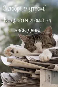 IMG_4777.webp