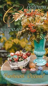418_319.webp