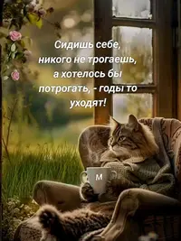 img_1_1729269654742.webp
