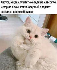 1200-150285112.webp