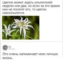 1729341163411.webp