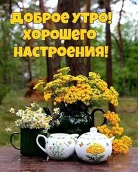 imgonline-com-ua-Resize-CwyHzMwgspAkvx.webp