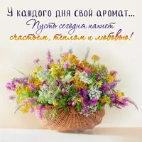 1729409119419.webp