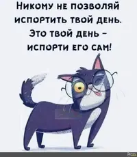 FB_IMG_1729142167205.webp