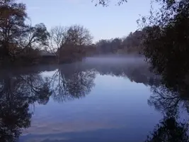 IMG-20241020-WA0008.webp