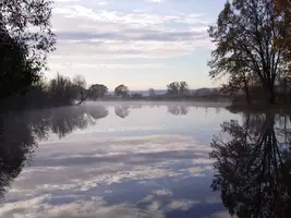 IMG-20241020-WA0007.webp