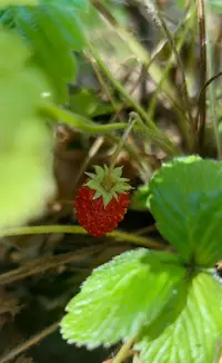 Screenshot_20241020_122059.webp