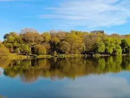 20241020122927.webp