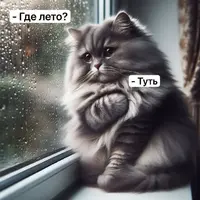 1MsUKQUxVjc.webp