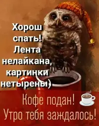 FB_IMG_1729570787680.webp