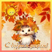 017_444.webp