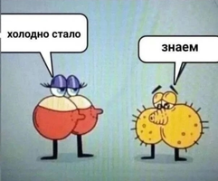 Screenshot_20241020-195127.webp