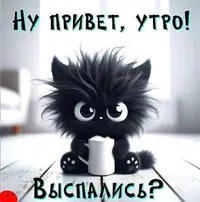 1729579169573.webp