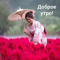 IMG_20241023_081310.webp