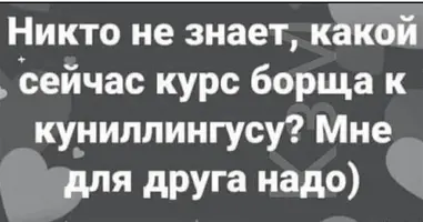 Screenshot_20241023_132119.webp