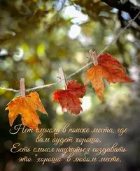 743_351.webp