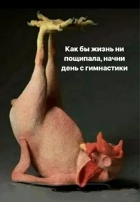 Screenshot_20241015-131856.webp
