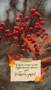 23_445.webp