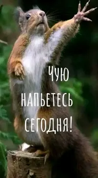 1729834410841.webp