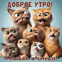wishpics_ru_14964.webp