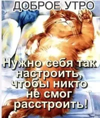 IMG_4877.webp