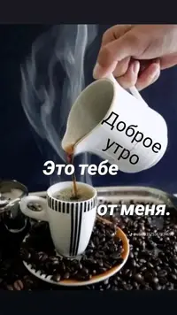 1730012077258.webp