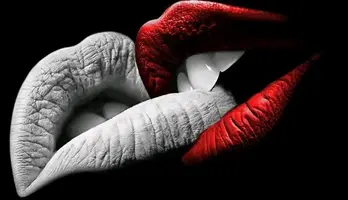 1729925870724.webp