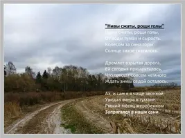 slide15-l.webp