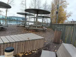IMG_20241027_101413_406.webp