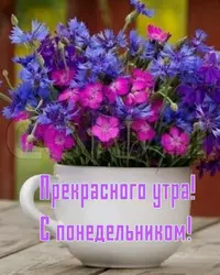 IMG_7692.webp