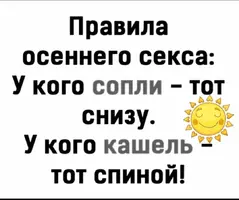 IMG_20241028_144407.webp