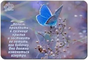 _FYEtbNqzos.webp