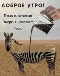 wishpics_ru_15118.webp