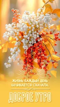IMG_4883.webp