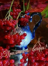 IMG_7722.webp