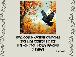 IMG_20241030_181124_230.webp