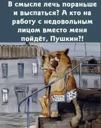 IMG_20241031_151229_273.webp