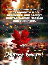 0353_100.webp