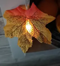 20241031220025.webp