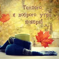 1730431784479.webp