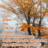 wishpics_ru_7101.webp