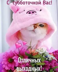 IMG_7780.webp