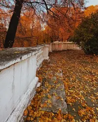 IMG_20241103_000024.webp