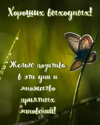 IMG_7805.webp