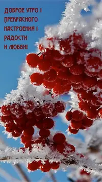 ewalls_ru_16561.webp