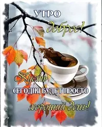 imgonline-com-ua-Resize-htiIPFNeQhik.webp