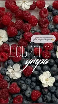 01_447.webp